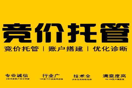 竞价广告的转化率提升方法：XX企业的成功经验